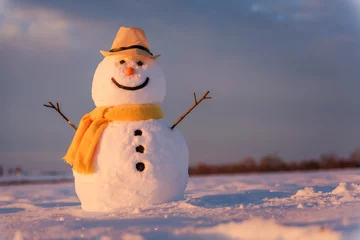 Peel and stick wallpaper Winter snowman