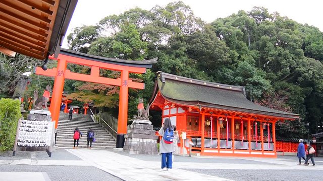 京都　伏見稲荷大社  (Fushimi Inari Taisha in Kyoto, Japan)