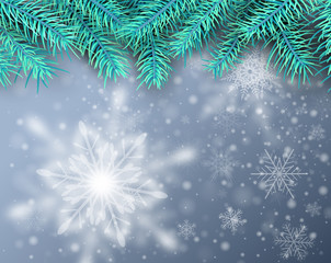 Fototapeta na wymiar Christmas background, pine tree with snow