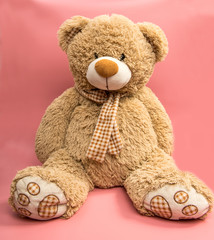 Bear soft toy, isolated