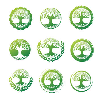 Tree icon and label. Vector