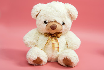 Bear soft toy, isolated