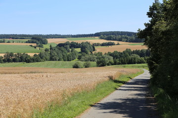 Fototapeta na wymiar Landschaft bei Regnitzlosau