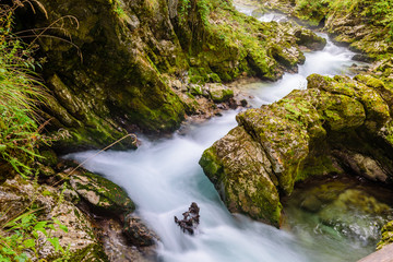 Mountain river Radovna in the Vintgar gorge, a natural Triglav national Park, Slovenia.
