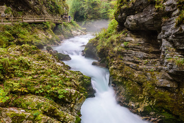 Fototapeta na wymiar Mountain river Radovna in the Vintgar gorge, a natural Triglav national Park, Slovenia.
