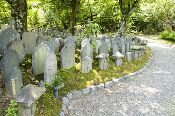奈良　元興寺　Nara,Gangouji temple	