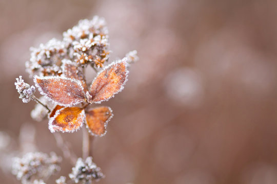 Winterzauber