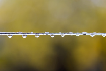 raindrops on wire. macro