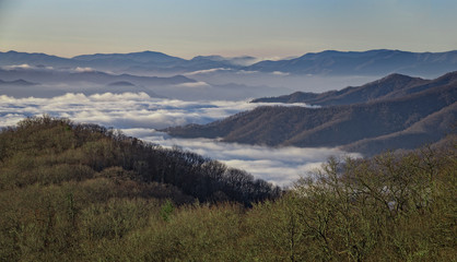 Early Morning, Great Smoky Mountains National Park, North Carolina, USA.