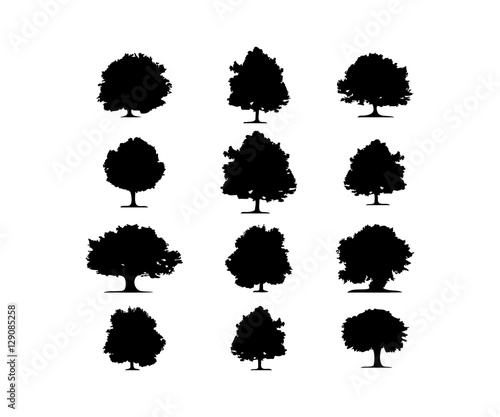 "Silhouette Oak Tree Vector Logo" Stock image and royalty-free vector