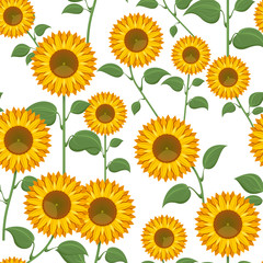 Sunflowers seamless pattern vector