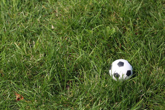 Soccer ball isolated on the field. Close up