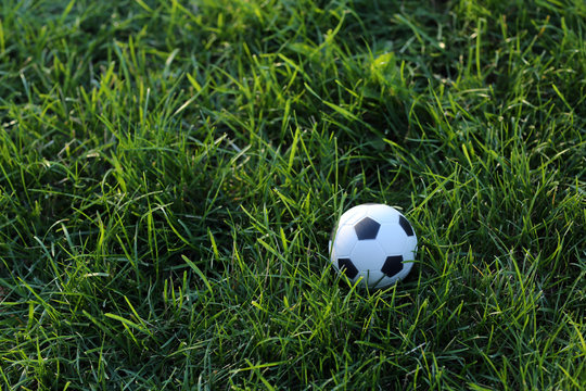 Soccer ball on grass background. Close up