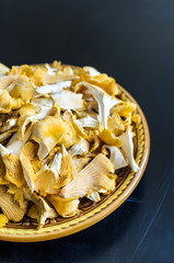 Bowl of wild fresh chanterelle mushrooms isolated on black background