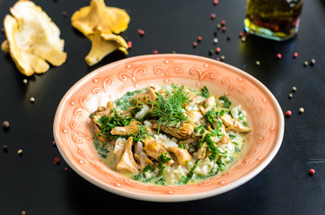 Delicious risotto with porcini mushrooms over rustic black background