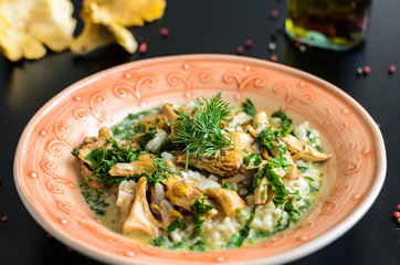 Delicious risotto with porcini mushrooms over rustic black background