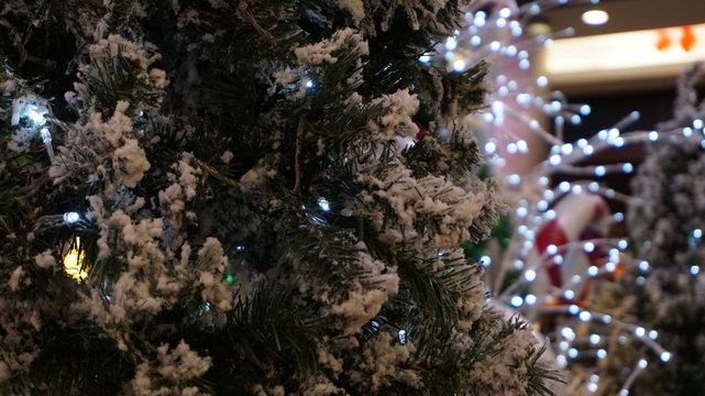 Christmas Tree On White Lights