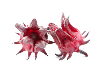 Hibiscus sabdariffa or roselle fruits.Roselle fruits isolated on