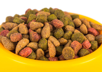 Cat food in bowl isolated on white