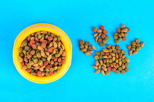 cat food on bright background