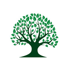 Naklejka premium Green vector Tree. Vector Illustration. Park and Nature.