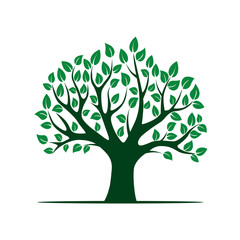 Obraz premium Green vector Tree. Vector Illustration. Park and Nature.