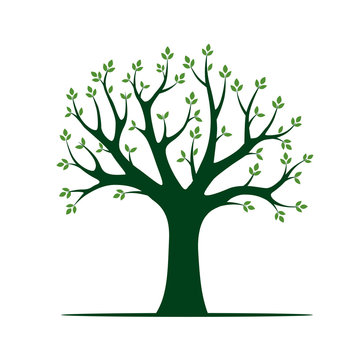 Green vector Tree. Vector Illustration. Park and Nature.
