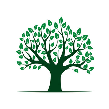 Green vector Tree. Vector Illustration. Park and Nature.