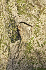 landscape near Kotor. Montenegro
