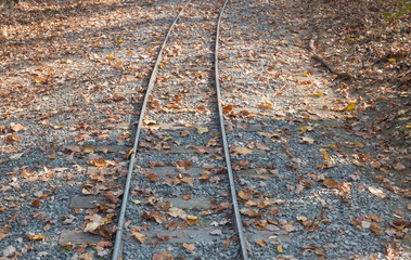 train tracks in the woods during fall