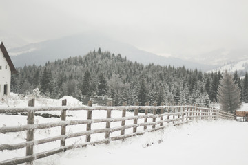Fototapeta premium Snow covered fence