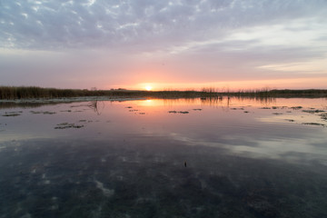 beautiful sunrise of the sun on the lake