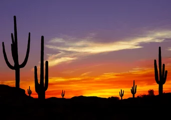 Foto op Plexiglas Zonsondergang in het Wilde Westen met Cactussilhouet © dcorneli