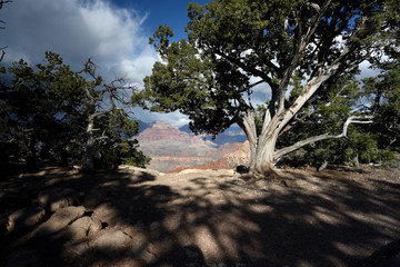 Obraz premium Grand Canyon National Park, Arizona, USA
