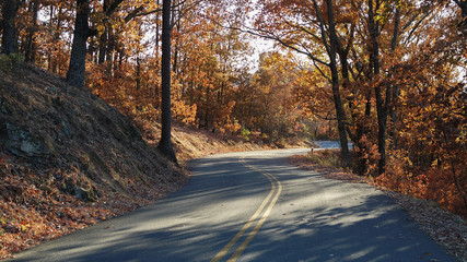 fall road