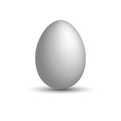 realistic 3D eggs. The white egg . Vector EPS-10