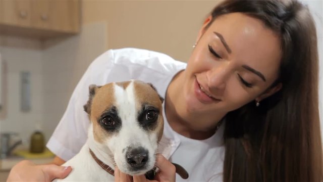 Pretty female veterinarian turning dog's head to the camera. Close up of attractive caucasian woman moving dog's head by her hands. Young caucasian woman in white medical uniform standing near the dog