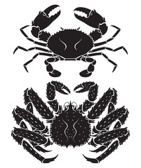 Alaskan king crab. Vector Illustrations.