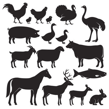 Farm animals silhouette icons. Vector illustrations