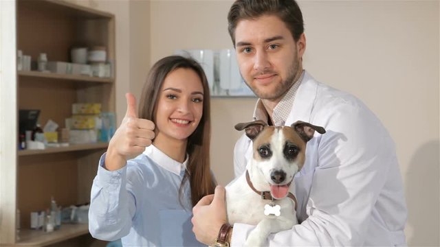 Male vet doctor posing with dog and it's owner. Pretty caucasian woman okaying the service at the vet clinic. Male veterinarian holding dog in his hands