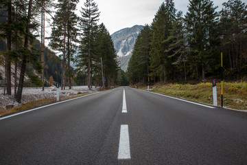 Fototapeta na wymiar asphalt road in forest in mountains