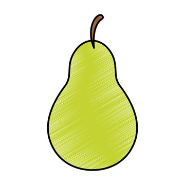 pear fruit icon image vector illustration design 