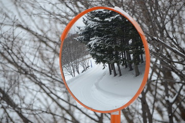 Snowy landscape in Hokkaido.