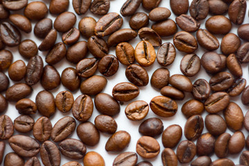Close up beans on a white background. Coffee  the entire screen for the . Roasted   brown. Lots of  in high definition.