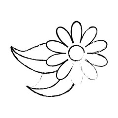 simple flower icon image vector illustration design 