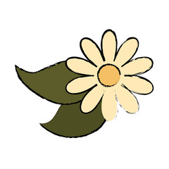 Obraz premium simple flower icon image vector illustration design 