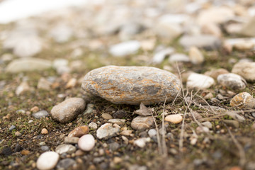 stones in nature