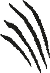 Claws scratching animal