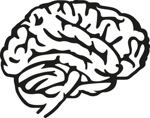 Brain icon