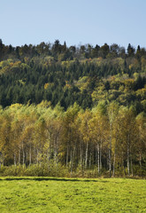 Landscape near Ustjanowa Gorna. Poland